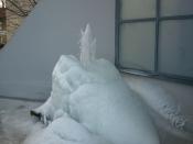 20120212_153530.jpg