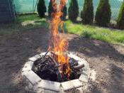 20180526_161655.jpg