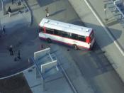 SDC14223.JPG