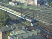 SDC14233.JPG