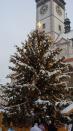 SDC13541.JPG