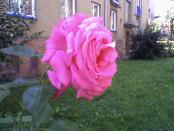 Fotografie-0039.jpg
