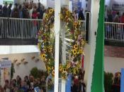 SDC11822.JPG