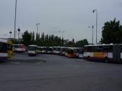 SDC10289.JPG