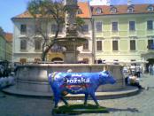 Foto0032.jpg