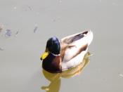 DSCF3801.JPG