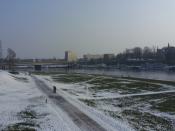 SDC11032.JPG