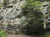 IMG_20210901_120113.jpg
