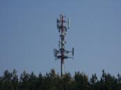 SDC13341.JPG