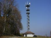 SDC13357.JPG