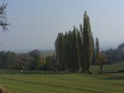 SDC13376.JPG