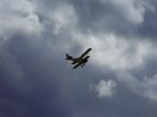 SDC13461.JPG