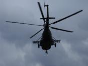 SDC13485.JPG