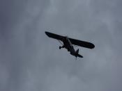 SDC13519.JPG