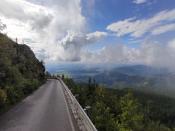 IMG_20210828_153203.jpg