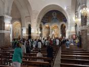 IMG_20230918_101039.jpg