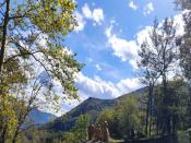 IMG_20230918_153553.jpg
