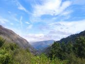 IMG_20230920_140917.jpg