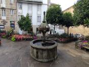 IMG_20230921_095629.jpg