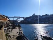 IMG_20230923_100940.jpg