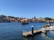 IMG_20230923_101741.jpg