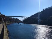 IMG_20230923_102617.jpg