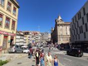 IMG_20230923_120445.jpg