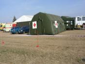 SDC14697.JPG