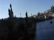 SDC15992.JPG