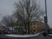 SDC15485.JPG
