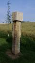 SDC10471.JPG