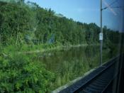 SDC12077.JPG