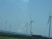 SDC12090.JPG