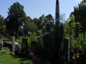 SDC12193.JPG