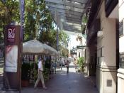 SDC12270.JPG