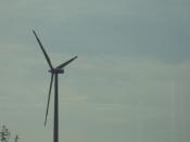 SDC12560.JPG