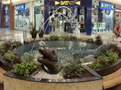 SDC12577.JPG