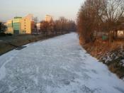 20120212_162537.jpg